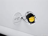  Gas cap open photo